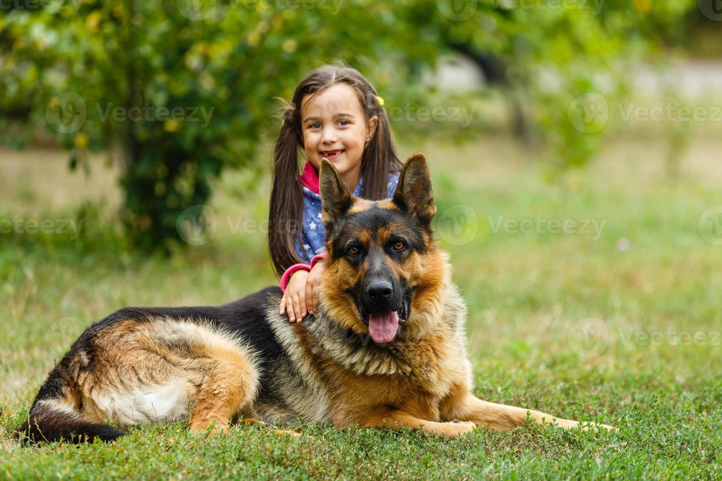 hübsches kleines mädchen, gibt dem deutschen schäferhund den befehl, sich zu setzen. foto