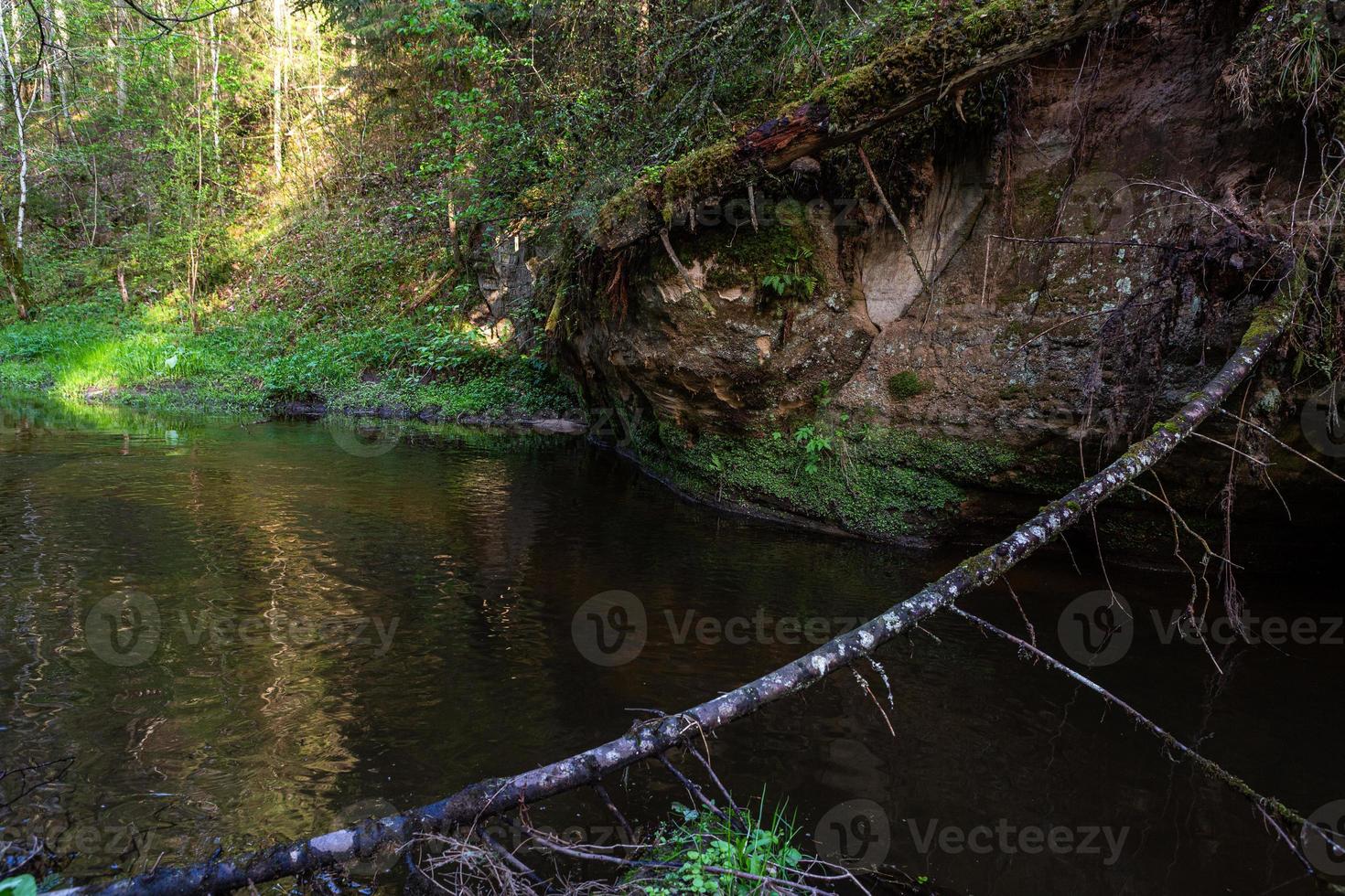 ein kleiner Waldbach mit Sandsteinfelsen und Steinen foto