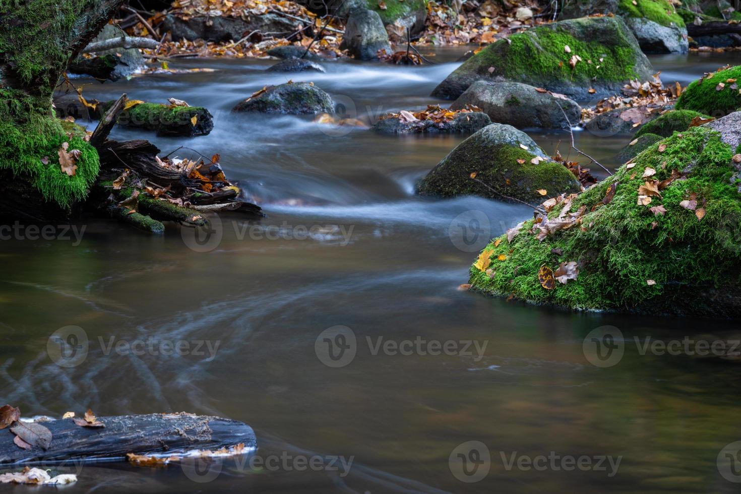 kleiner Waldfluss mit Steinen foto