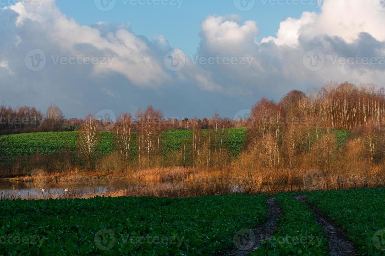 Natürliche Herbstlandschaften in Lettland foto