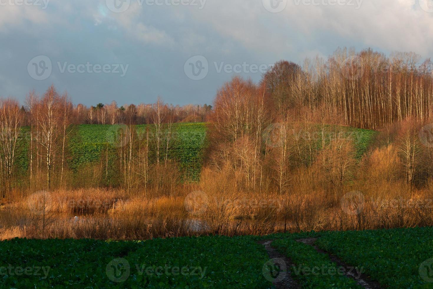 Natürliche Herbstlandschaften in Lettland foto