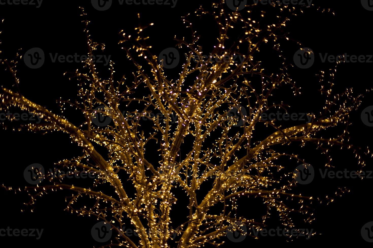 Girlanden am Baum. Glühbirnen im Dunkeln. foto