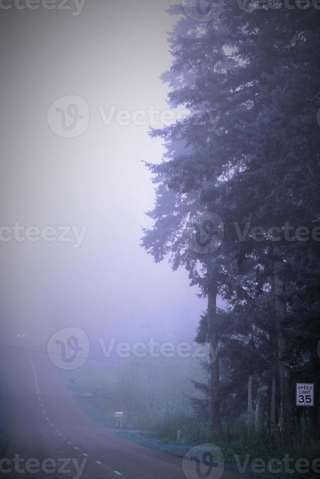 Eine einsame Straße am Morgen, keine Menschen, keine Autos und dichter Nebel. foto