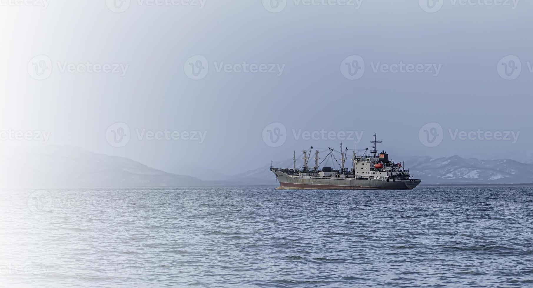 Fischwadenfänger in der Avacha-Bucht auf der Halbinsel Kamtschatka foto