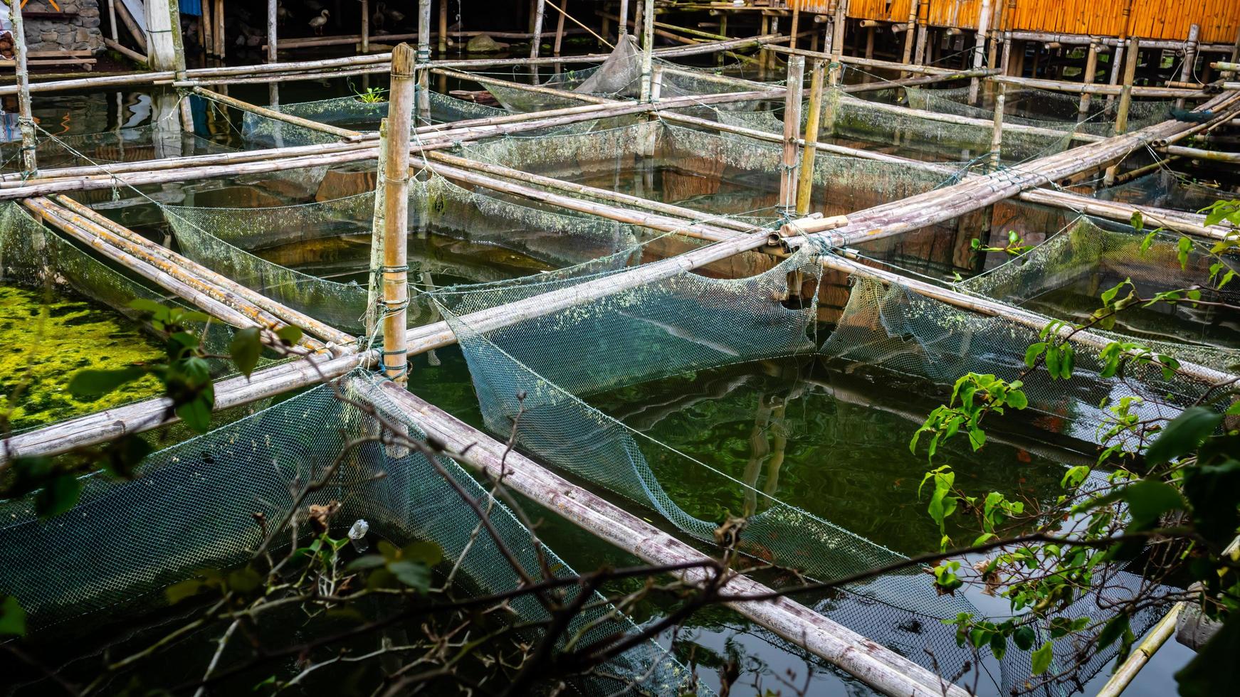 Traditionelle Fischfarm in Tondano Lake aus Bambus foto
