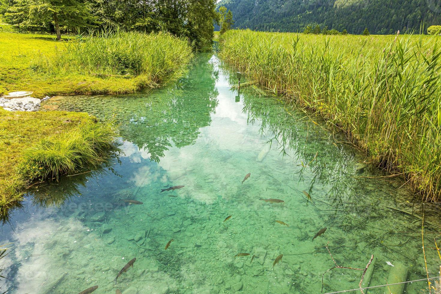 bild des hübschen weissensees in österreich im sommer foto