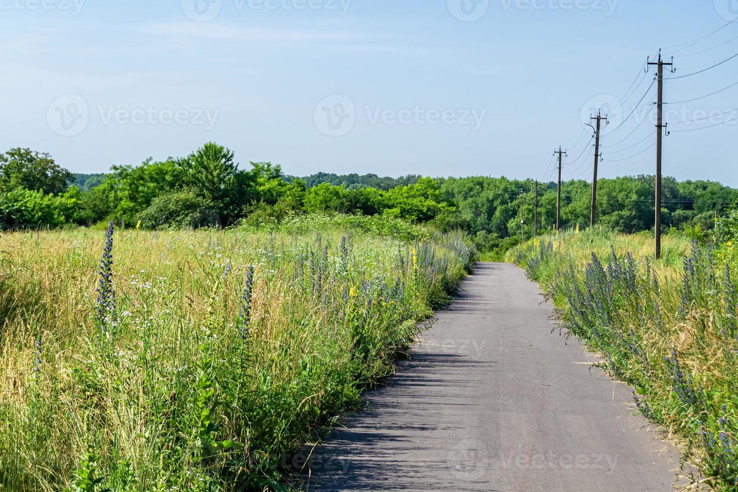 schöne leere Asphaltstraße in der Landschaft auf farbigem Hintergrund foto