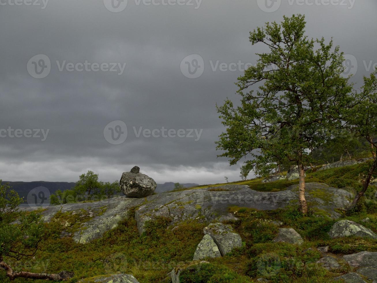 Die Fjorde von Norwegen foto