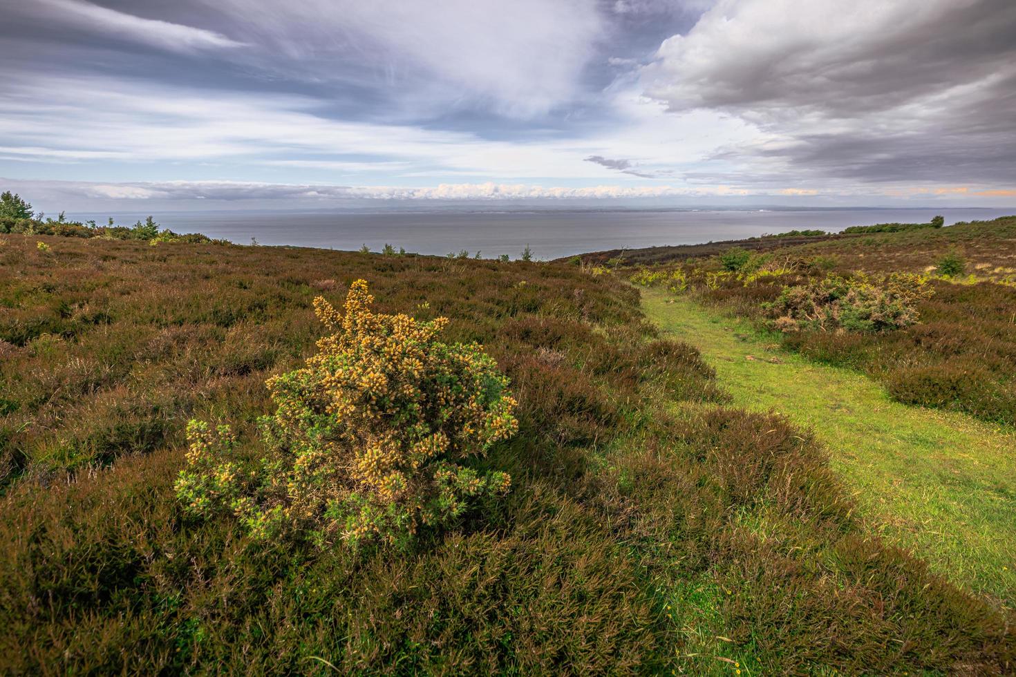 die natürliche landschaft von cornwall, england. foto