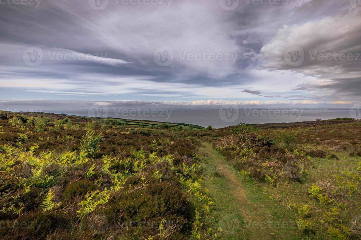 die natürliche landschaft von cornwall, england. foto