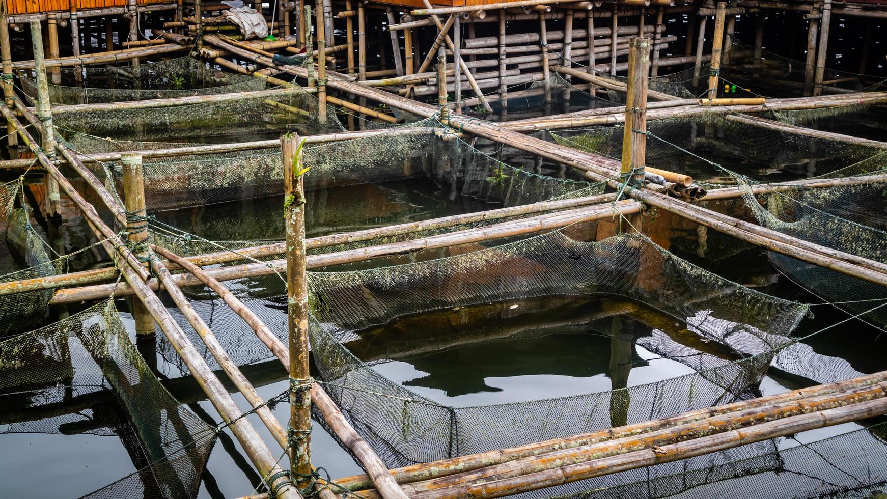 Traditionelle Fischfarm in Tondano Lake aus Bambus foto