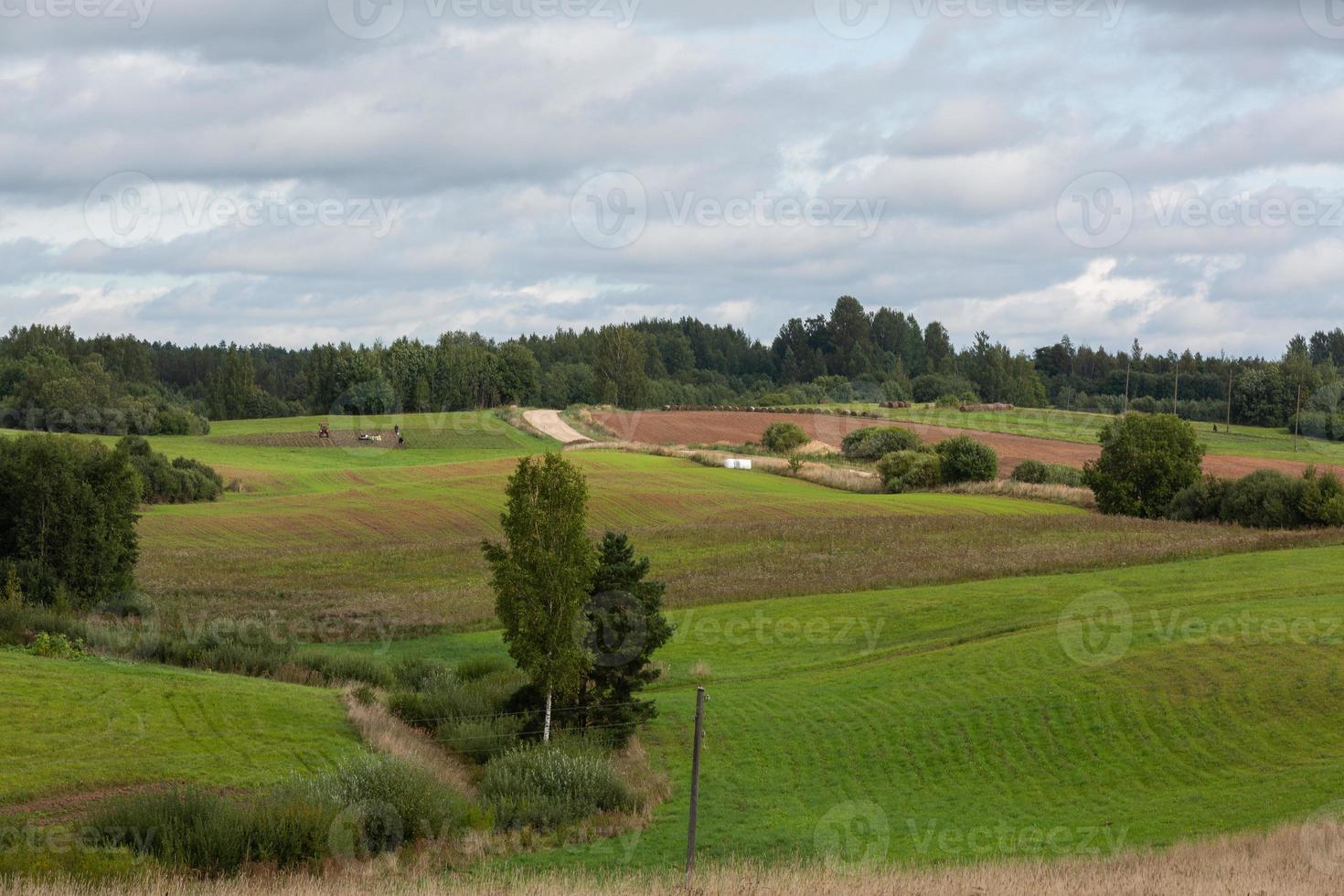 Lettische Sommerlandschaften foto