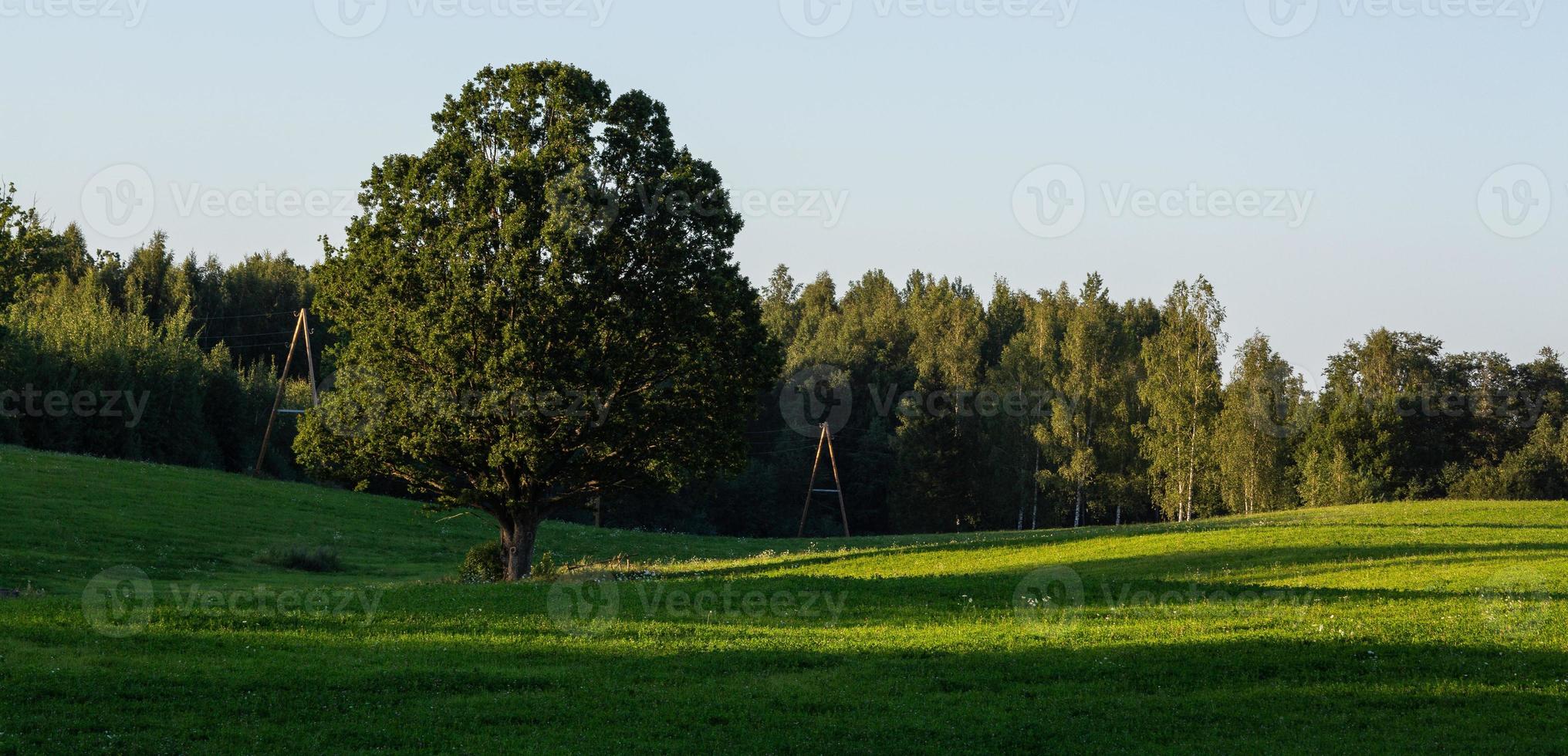 Lettische Sommerlandschaften foto