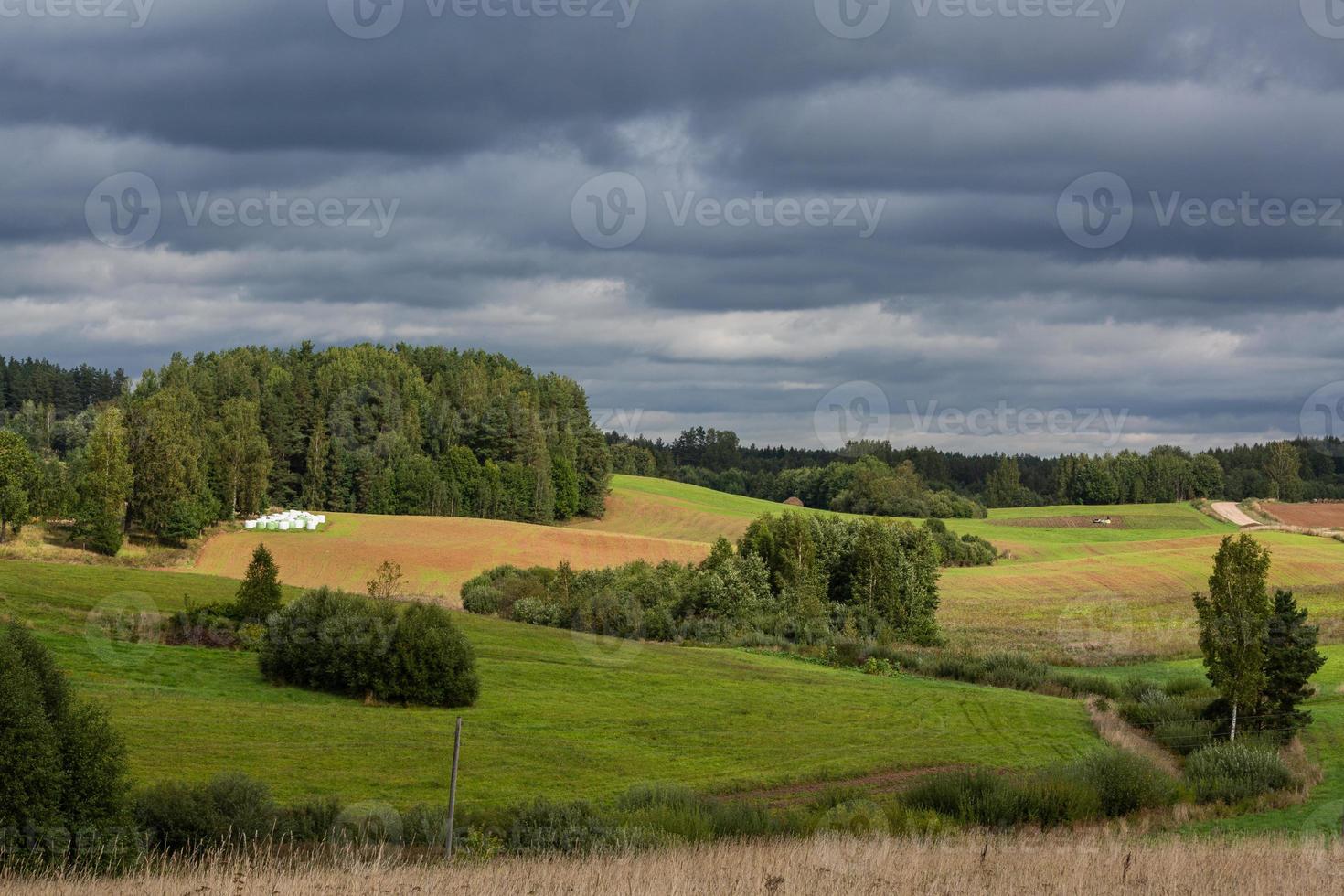 Lettische Sommerlandschaften foto