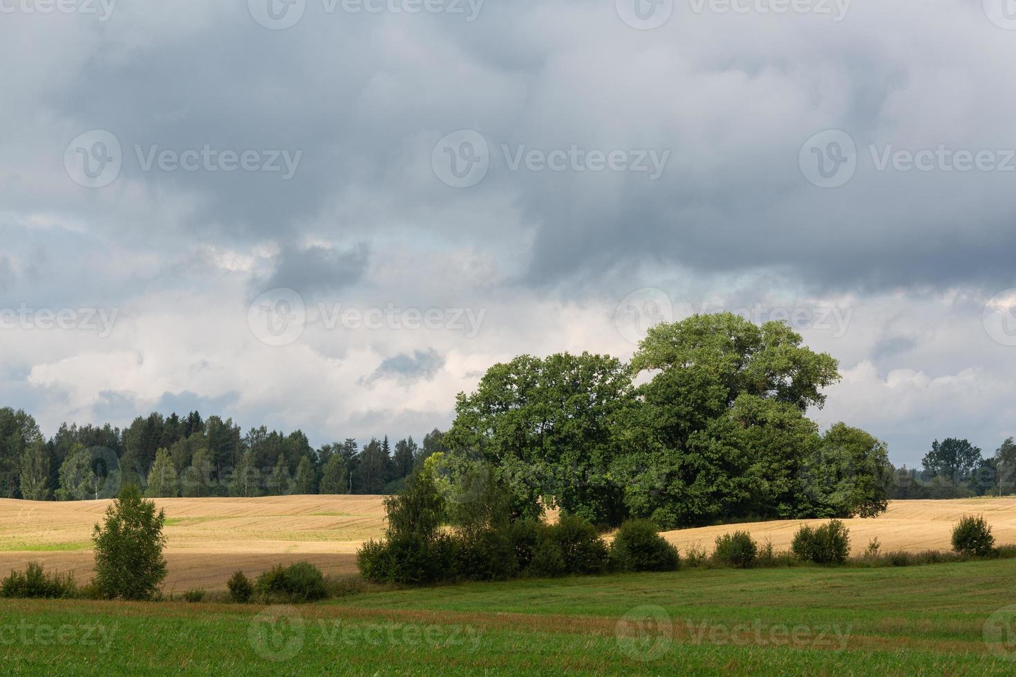 lettische sommerlandschaften mit wolken foto