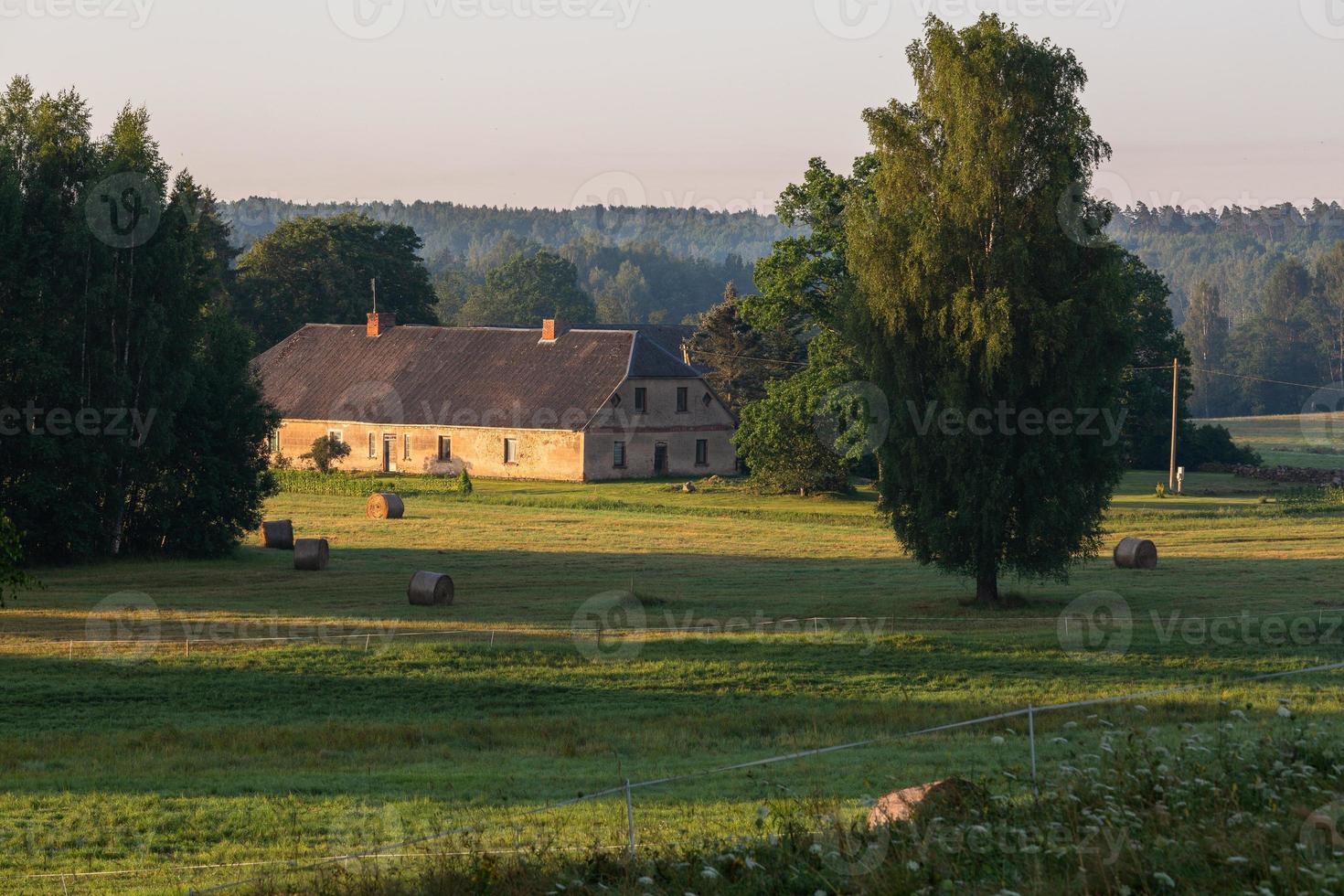 Lettische Sommerlandschaften foto