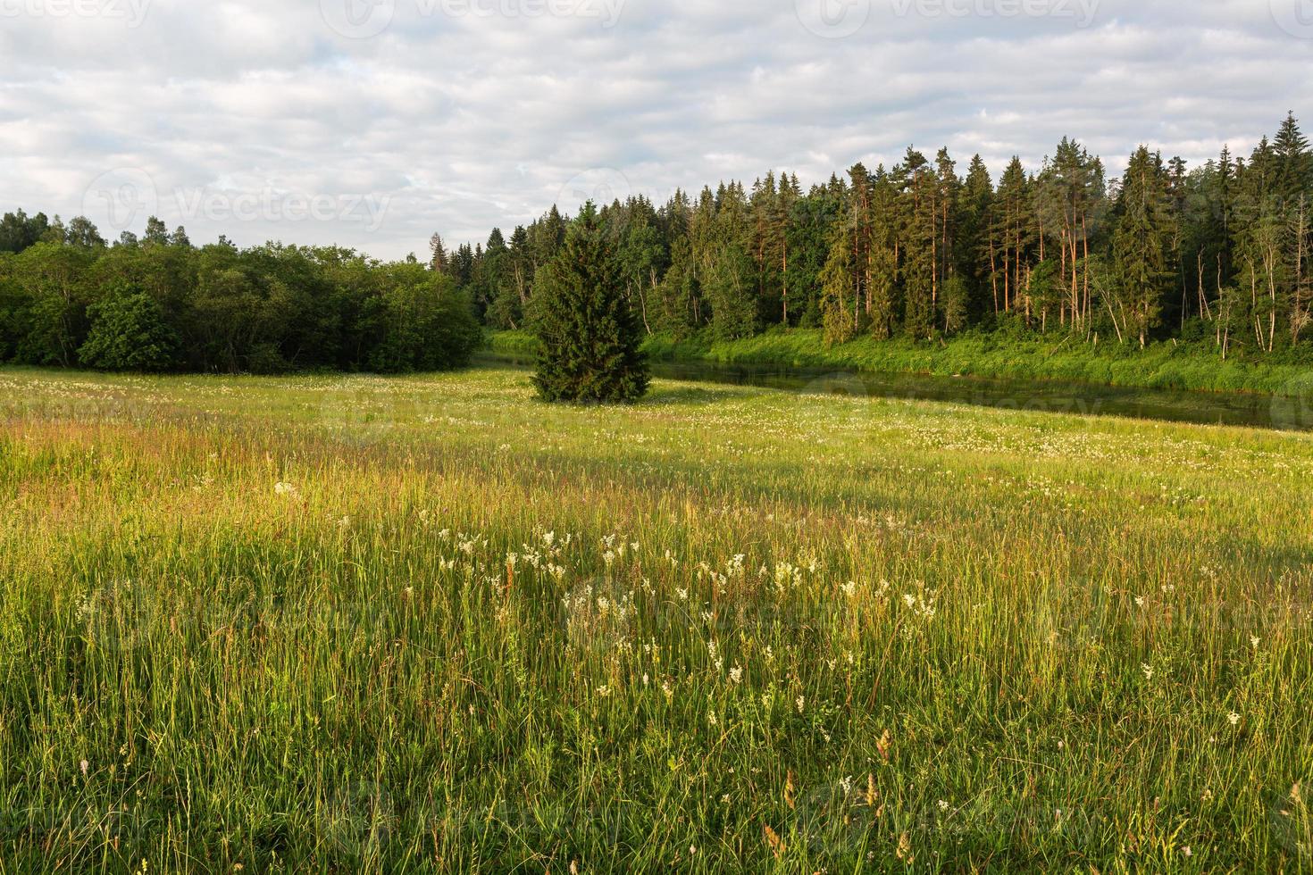 Lettische Sommerlandschaften foto