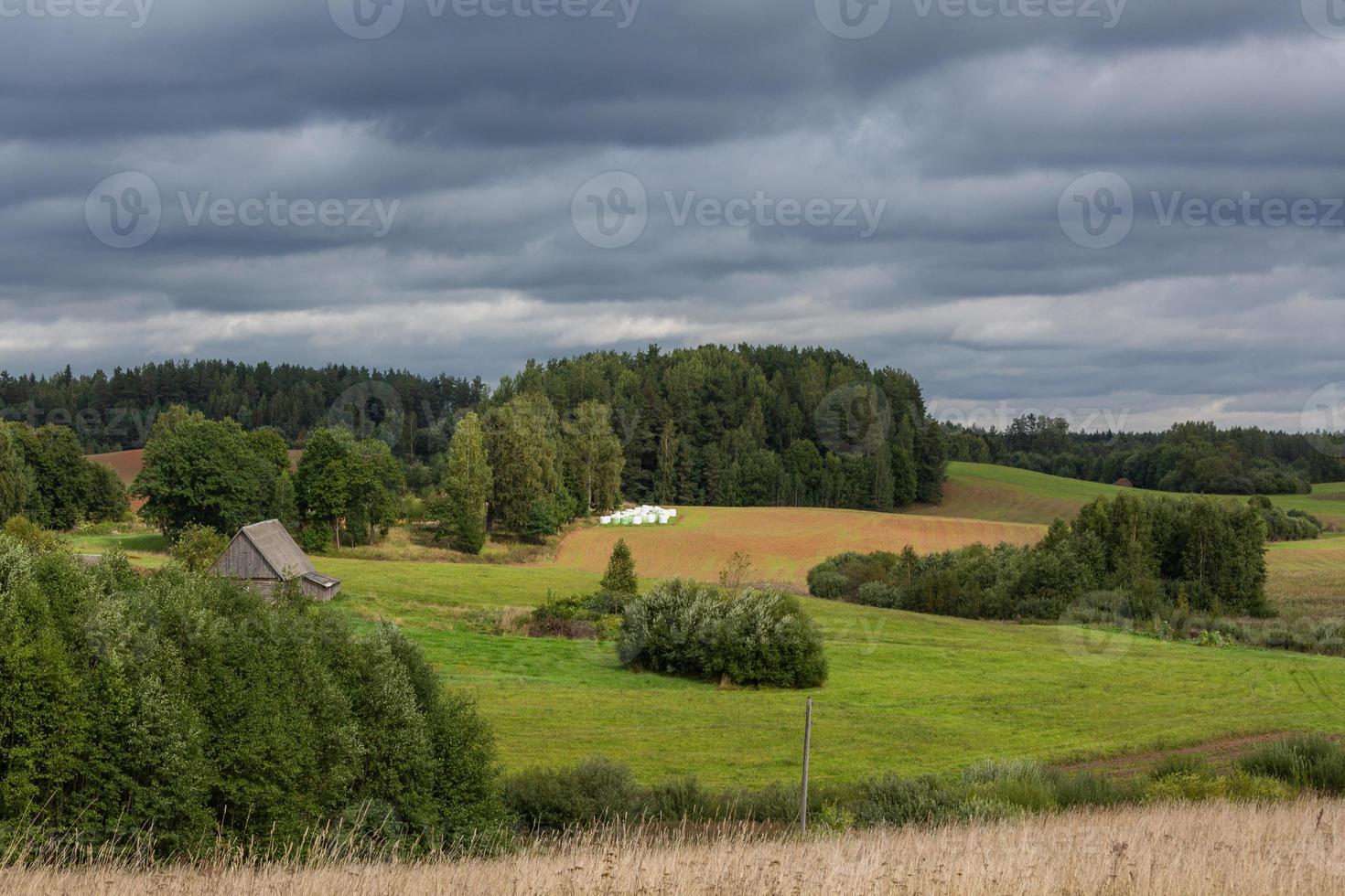 Lettische Sommerlandschaften foto