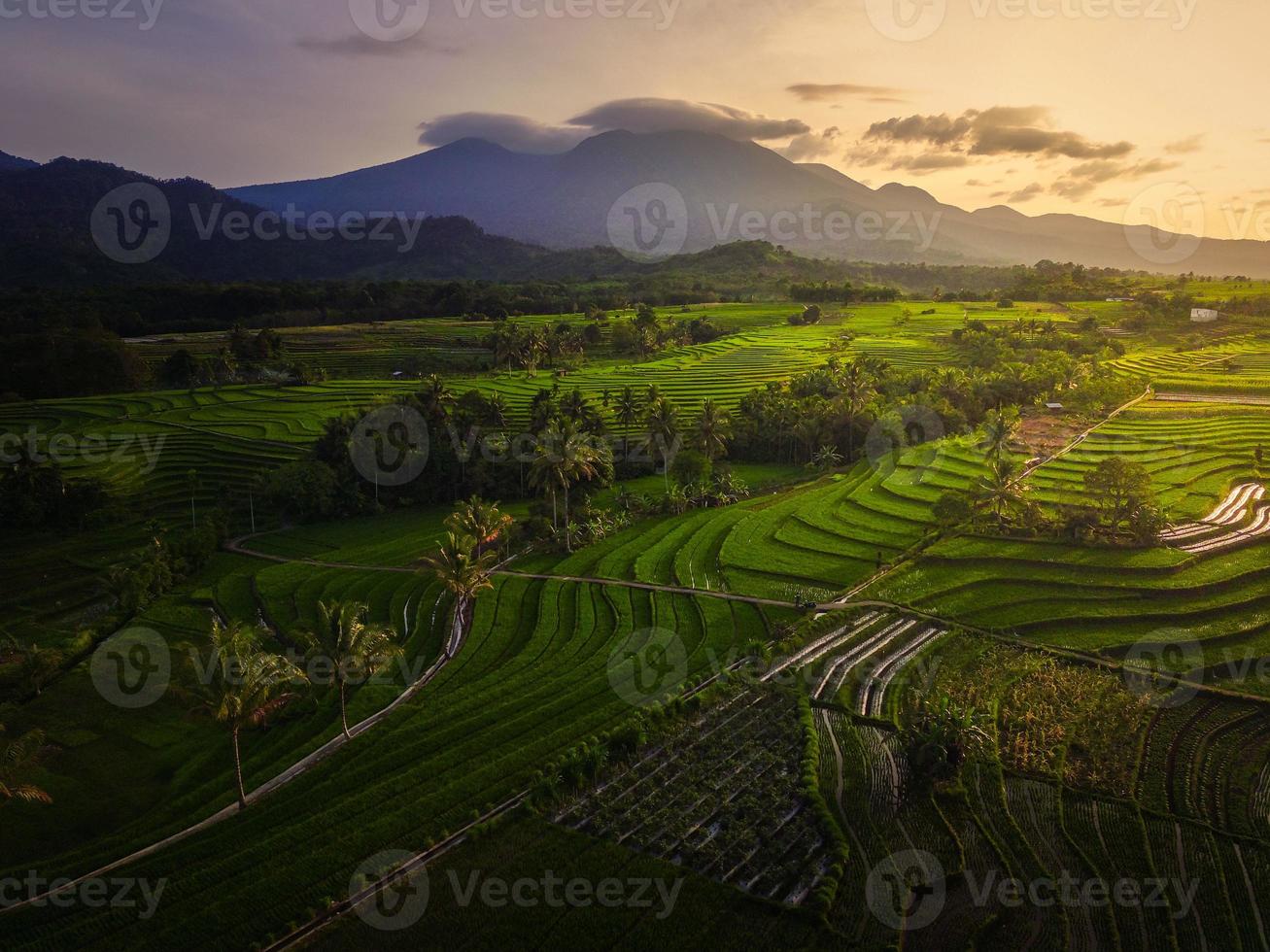 luftaufnahme von asien in indonesischen reisfeldern mit bergen bei sonnenaufgang foto