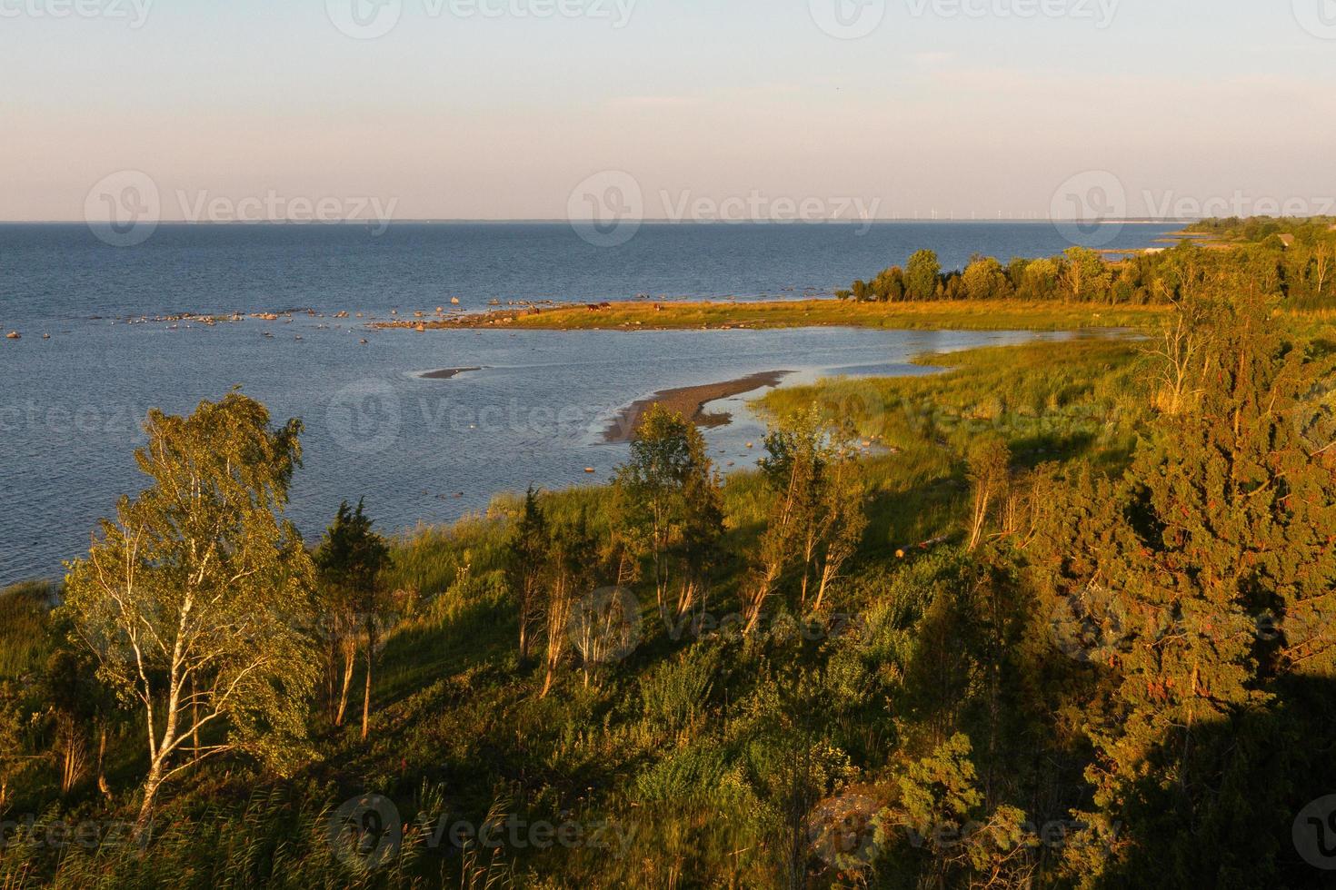 Sommerlandschaften von der Insel mmuhu foto