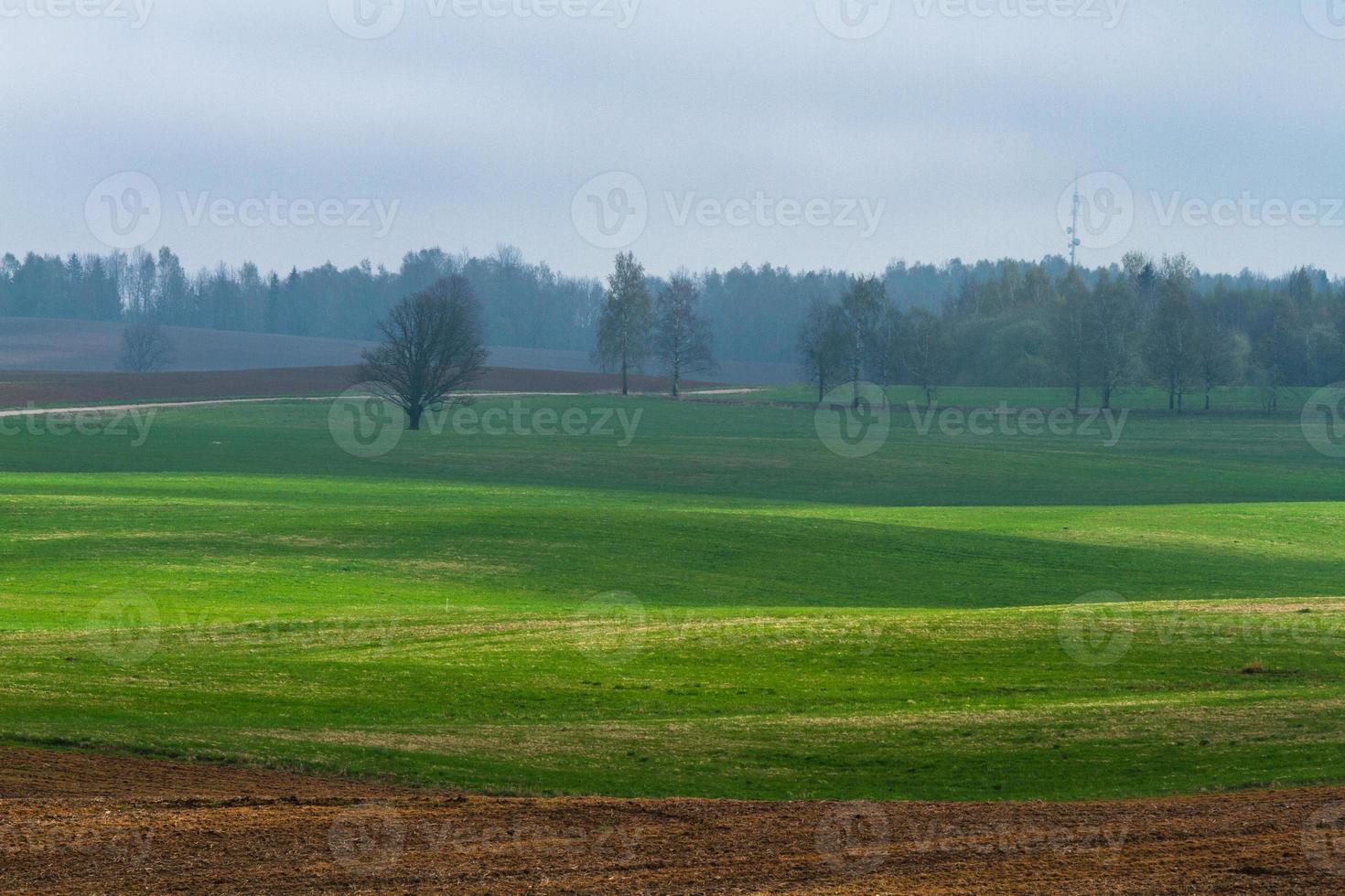 lettische frühlingslandschaften foto