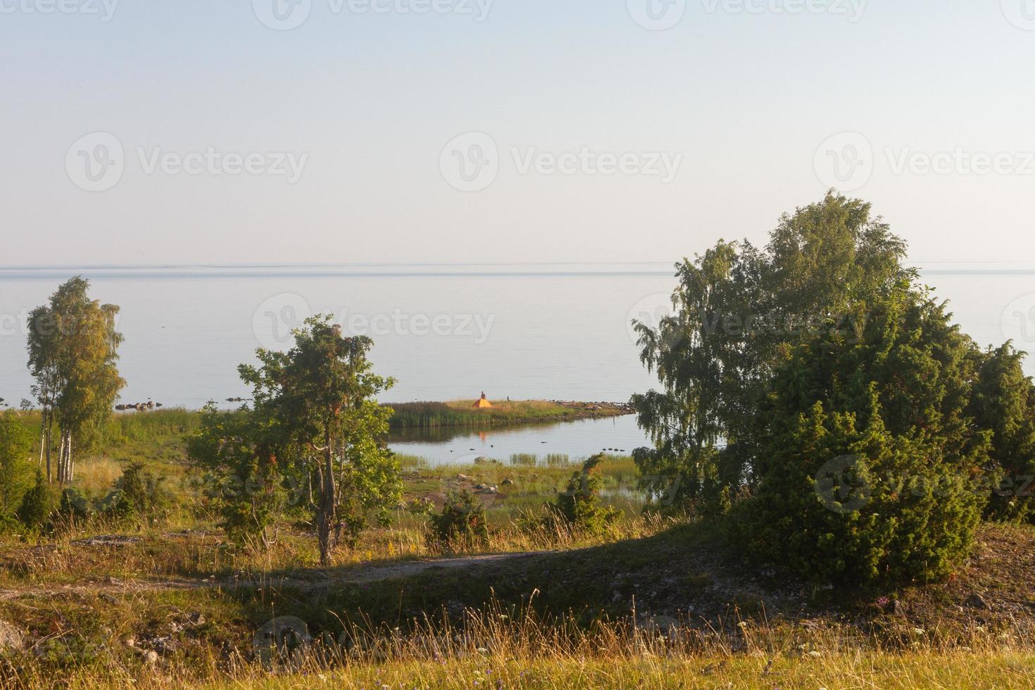 Sommerlandschaften von der Insel mmuhu foto