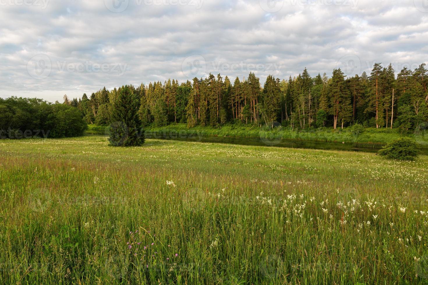 Lettische Sommerlandschaften foto