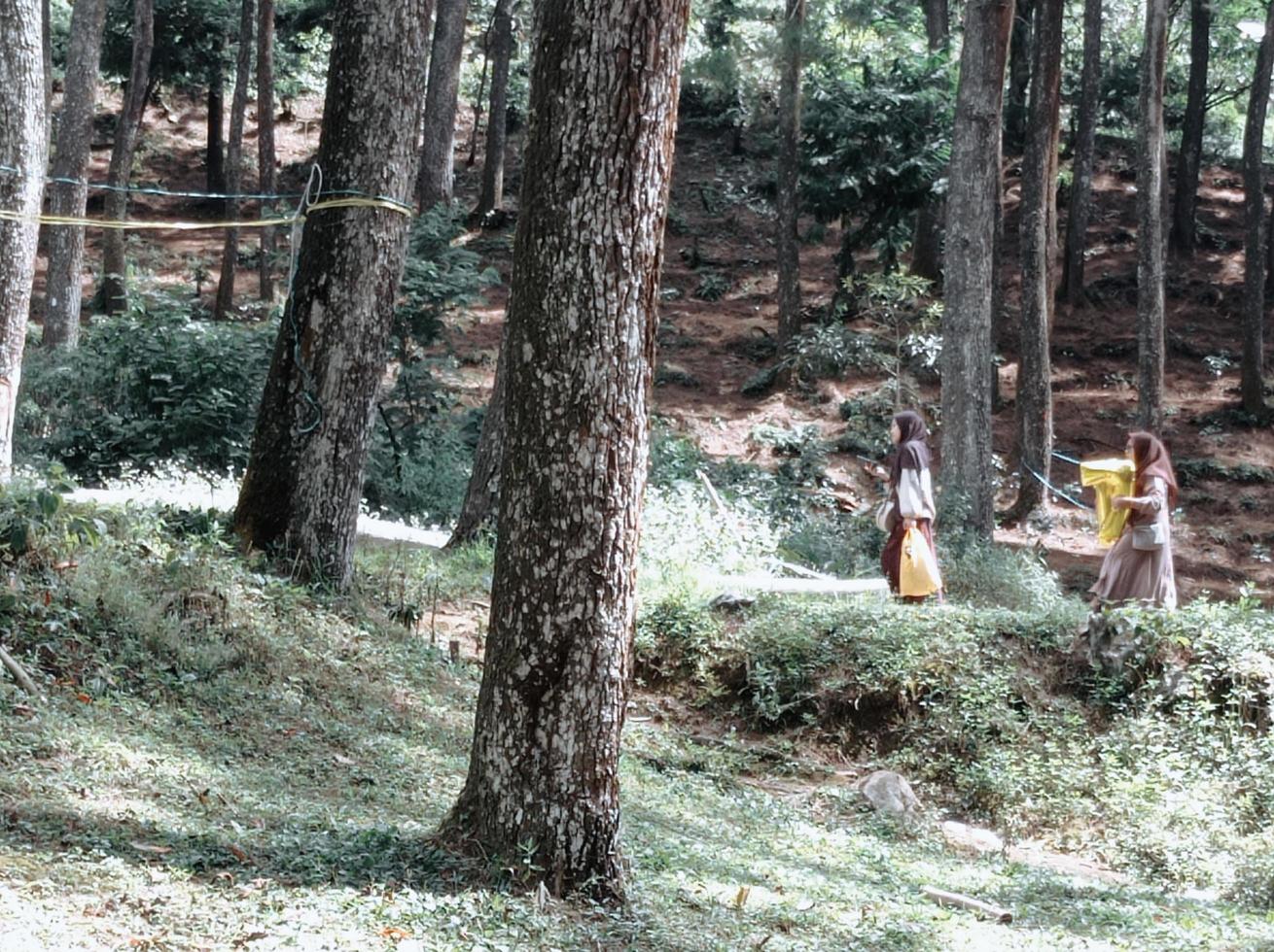 Menschen, die im Wald spazieren gehen foto