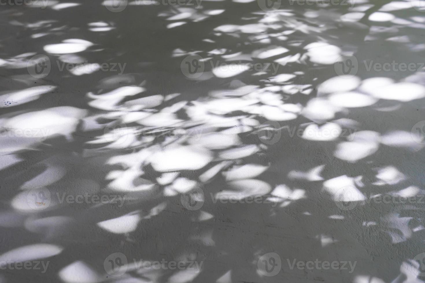 zementbetonwand mit dem baumzweig und blatt mit schatten darauf. foto