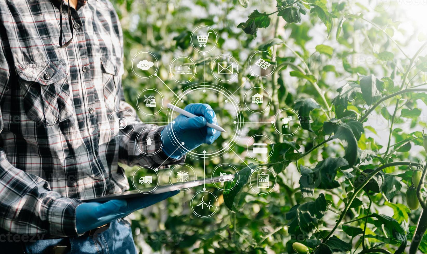 Die Landwirtschaft verwendet Tabletten zur Produktionskontrolle, um die Qualität von Gemüse und Tomaten im Gewächshaus zu überwachen. intelligenter landwirt, der eine technologie zum studieren verwendet foto