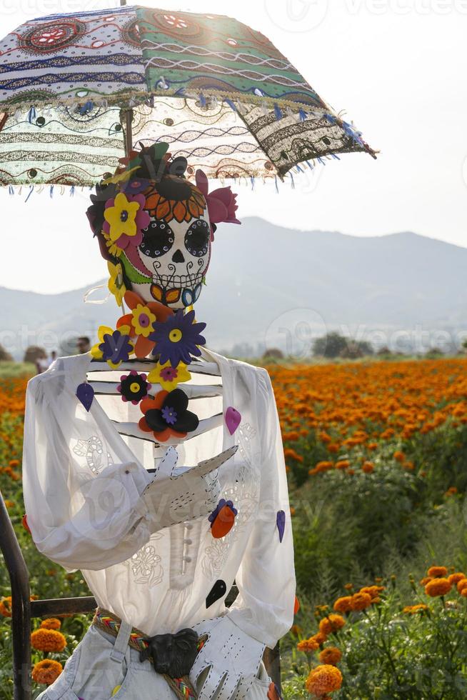 catrina im feld mit einem regenschirm, mexiko foto