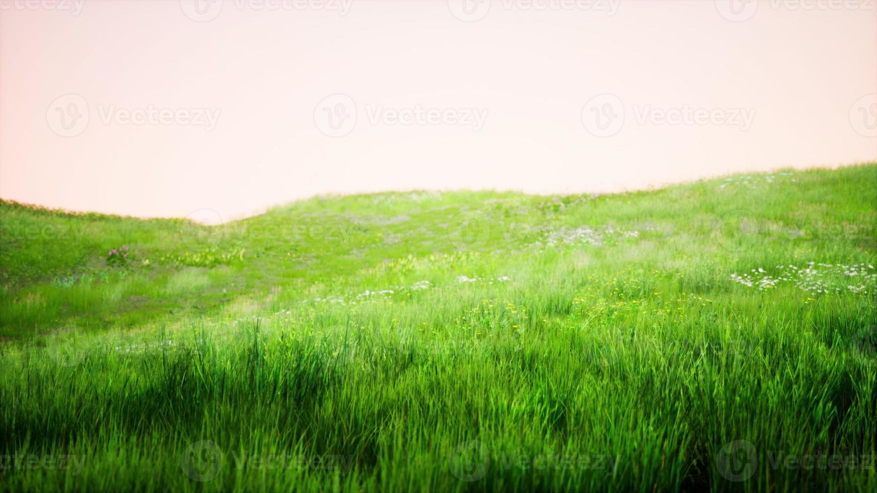 Toskana-Landschaft mit schönen grünen Hügeln im Frühling foto