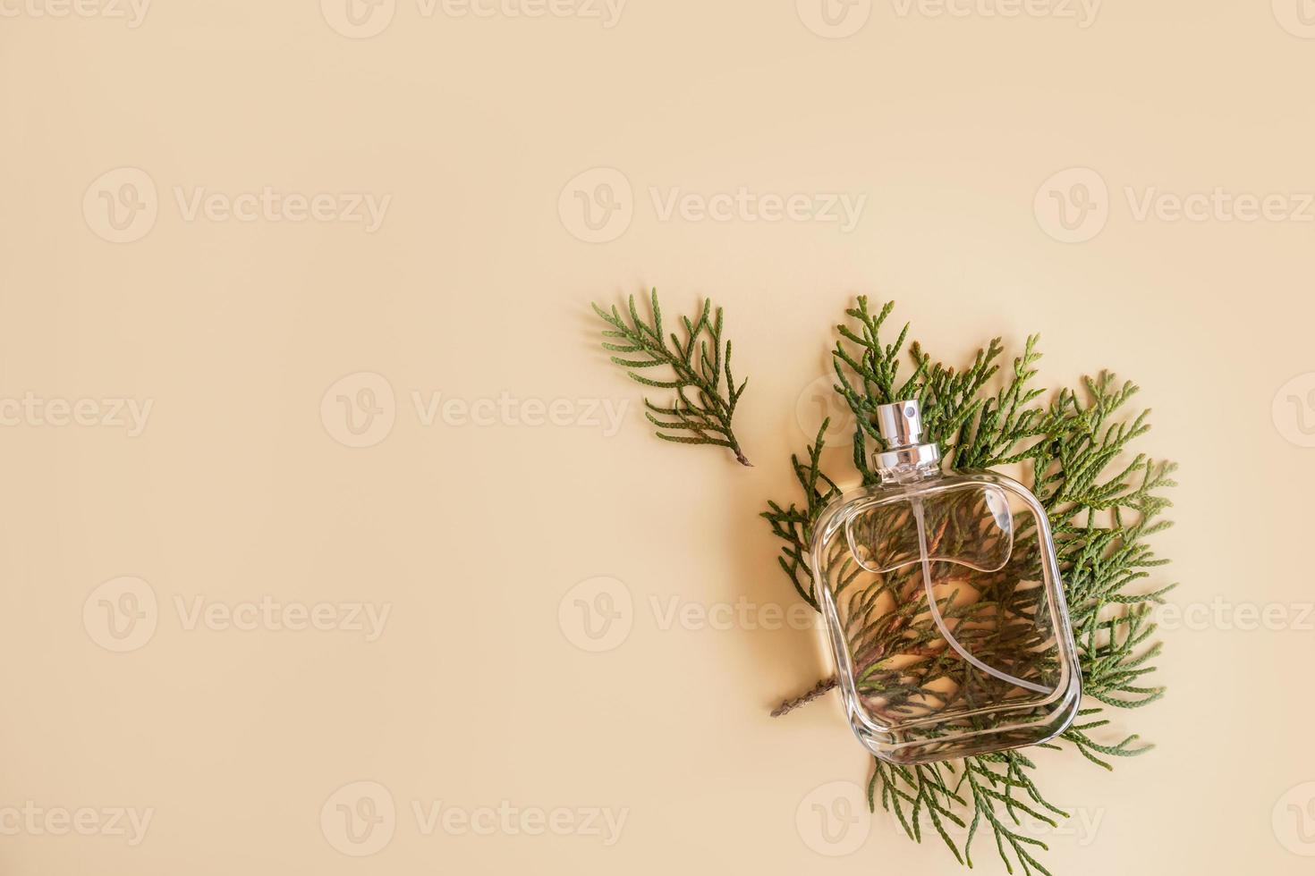 Kosmetikprodukt, Spray, Parfüm in einer Glasflasche mit frischem Aroma liegt auf den grünen Blättern von Thuja. beiger Hintergrund. ein Kopierraum. Ansicht von oben. foto