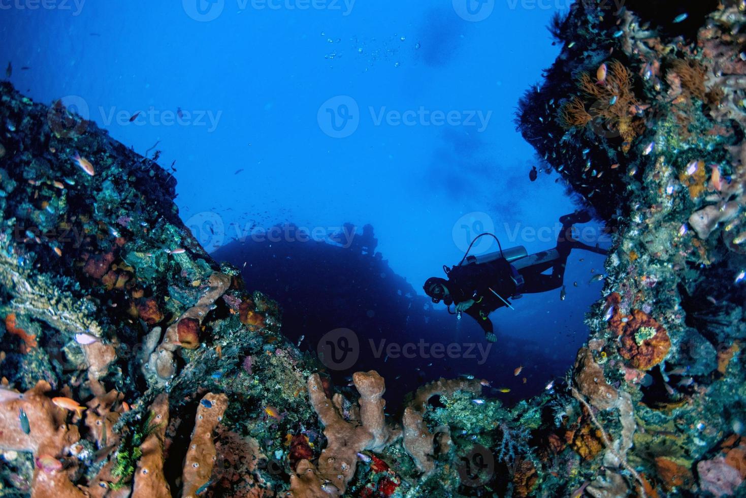 Taucher unter Wasser in der Nähe von Riesenschwamm im Ozean foto