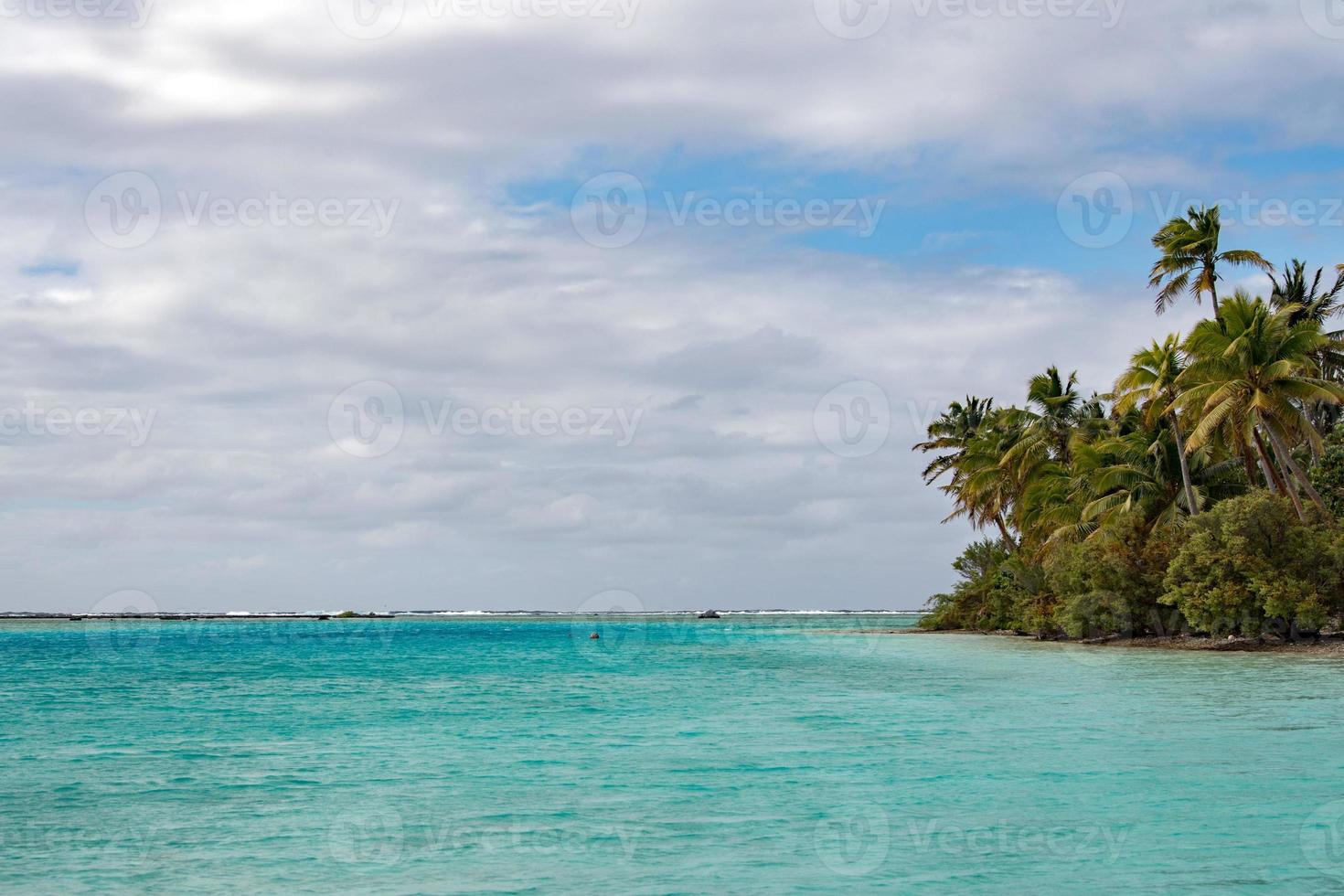 Kokospalme am polynesischen tropischen Paradiesstrand foto