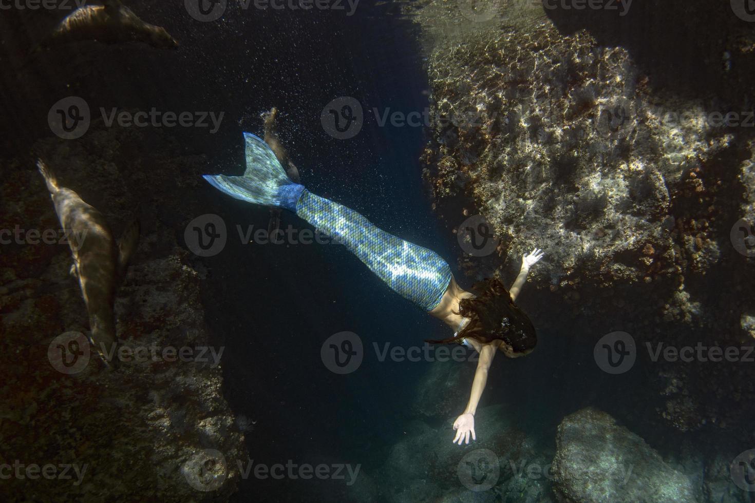 Meerjungfrau, die mit einem Siegel im tiefblauen Meer unter Wasser schwimmt foto