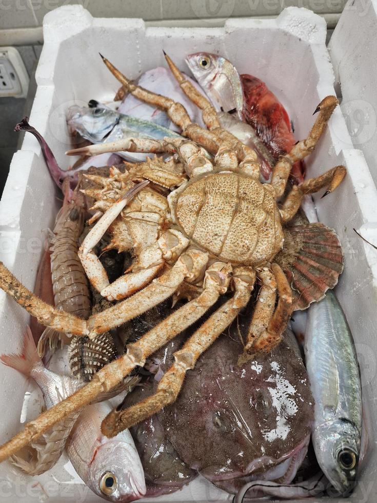 Frisch gefangene Meeresfrüchte in einer Kiste auf dem Fischmarkt foto