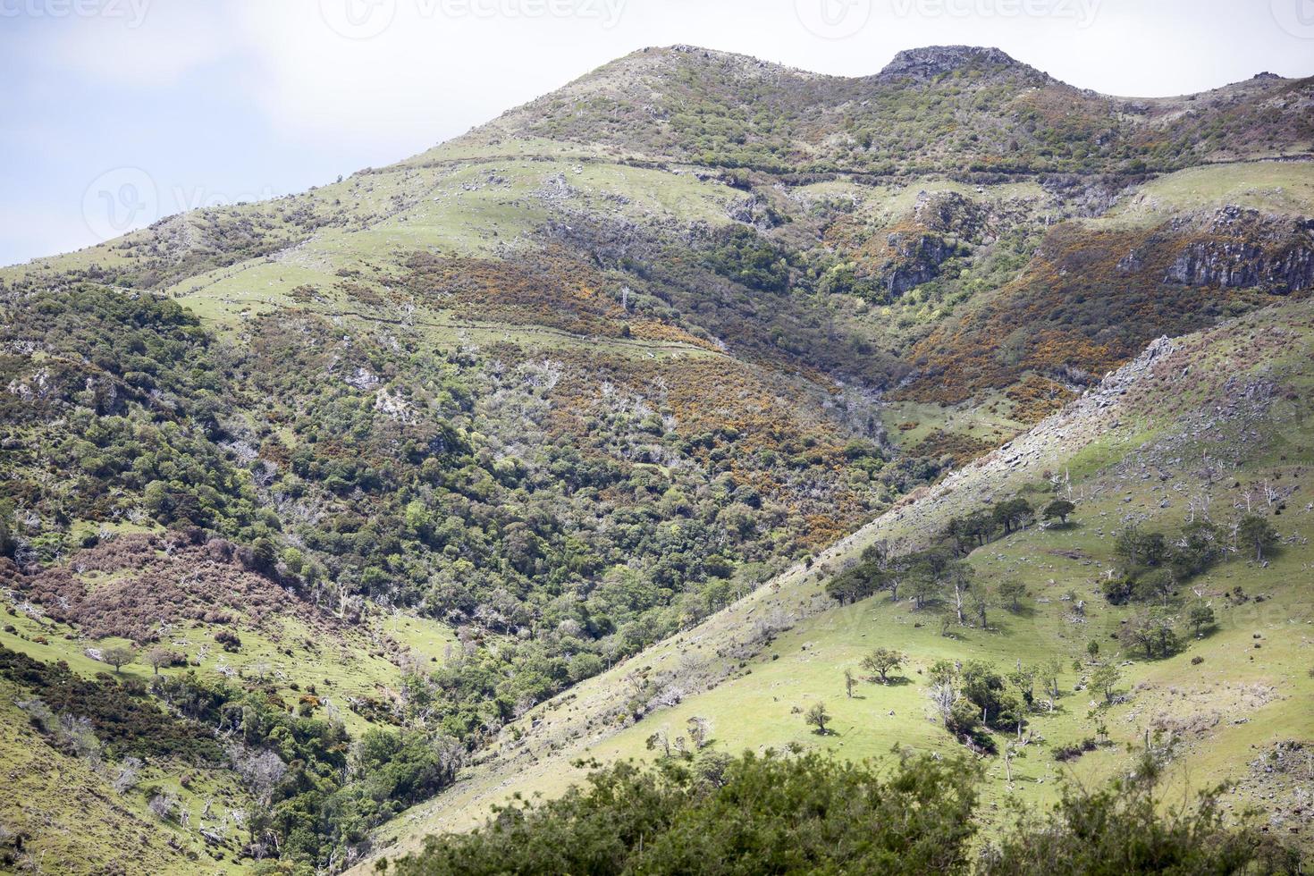 neuseelands akaora town green mountains foto