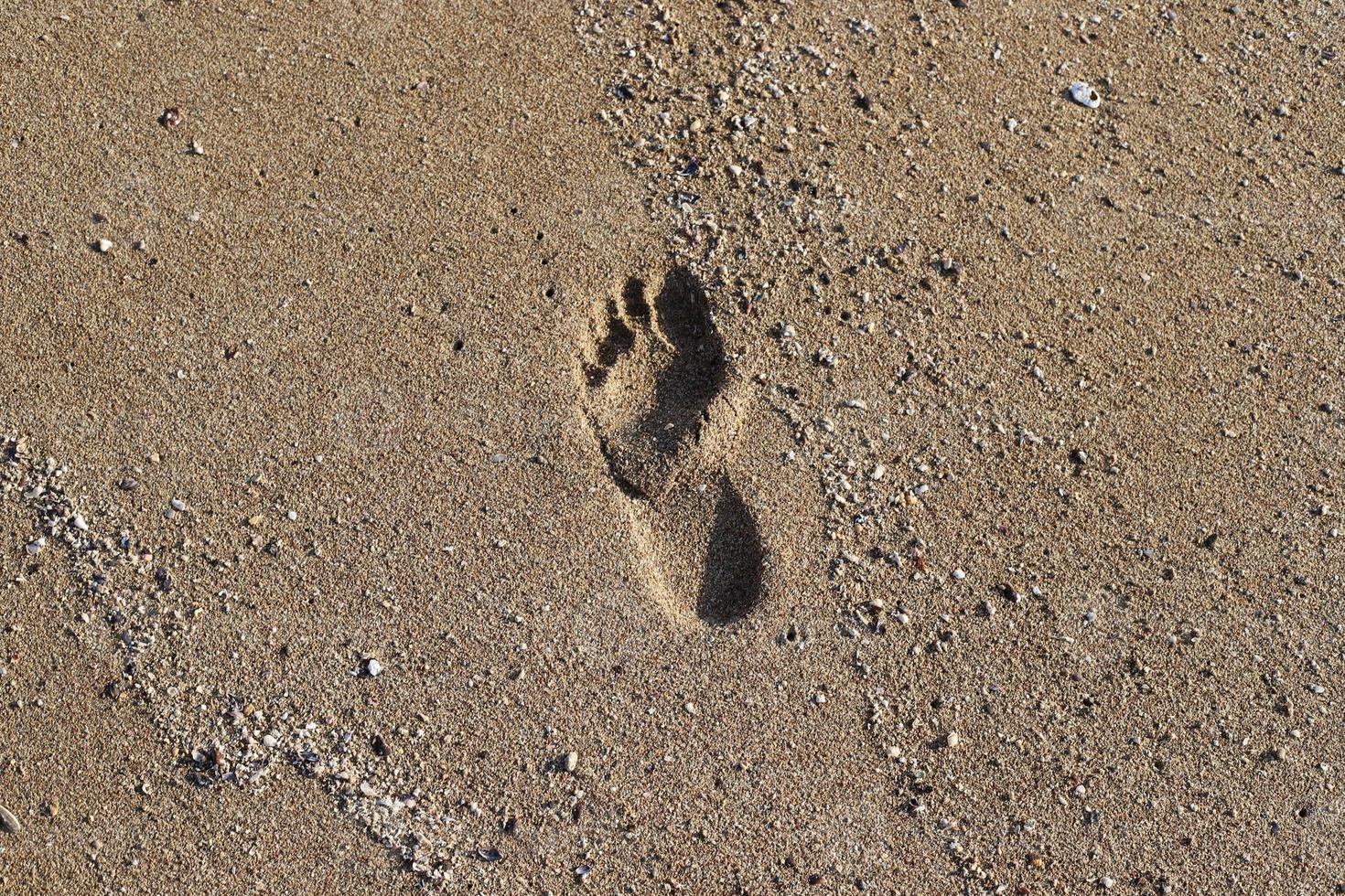 Fußspuren im Sand am Meer foto