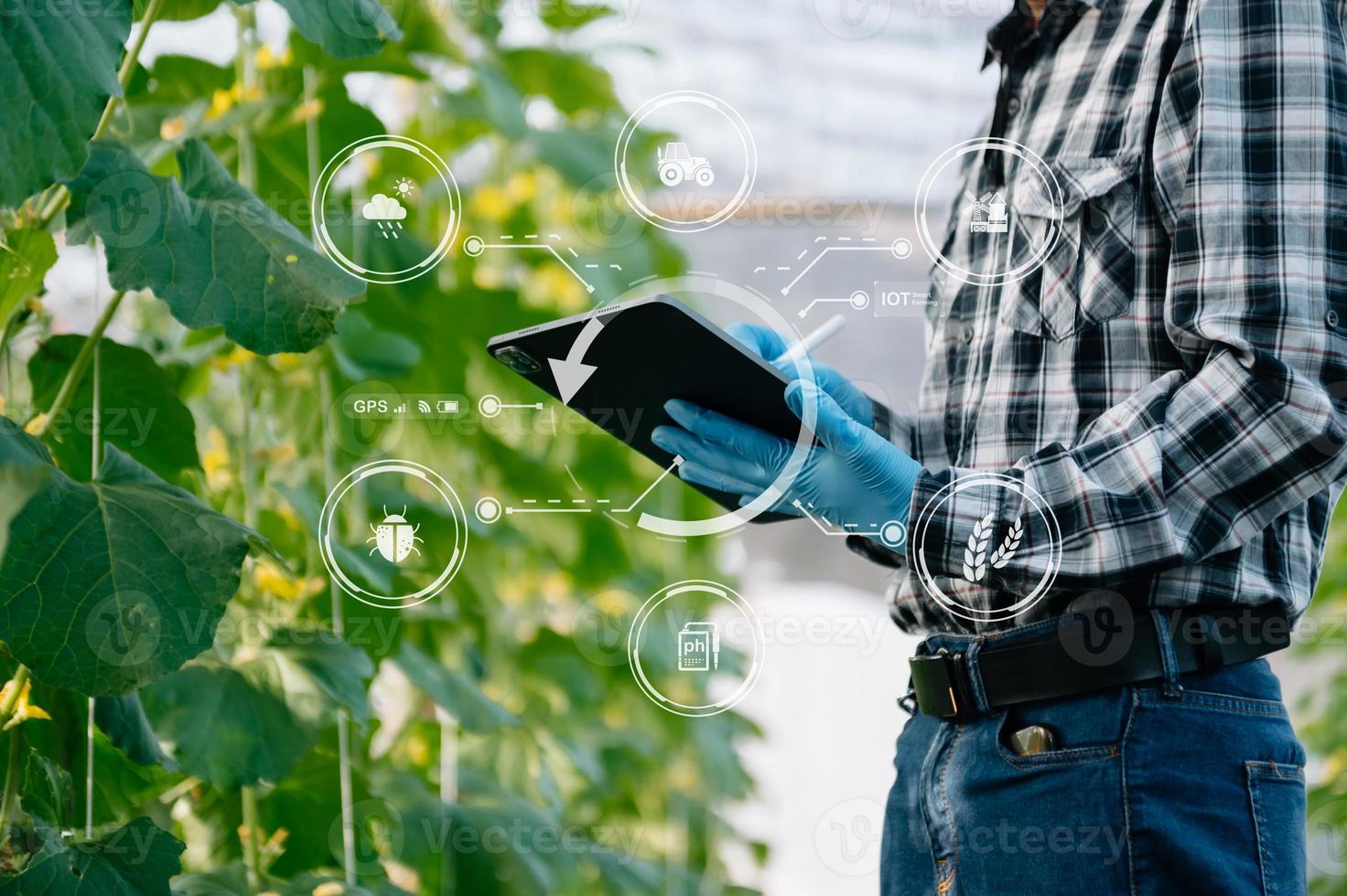 landwirtschaftstechnologie bäuerin mit tablet- oder tablet-technologie, um über landwirtschaftliche probleme zu recherchieren, analysedaten und visuelle symbole. foto