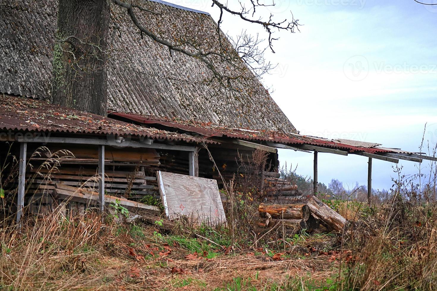 Altes, verlassenes, verwittertes Cottage-Haus mit Eichenstamm, der aus dem Schieferdach herausragt, mit Himmel im Hintergrund foto