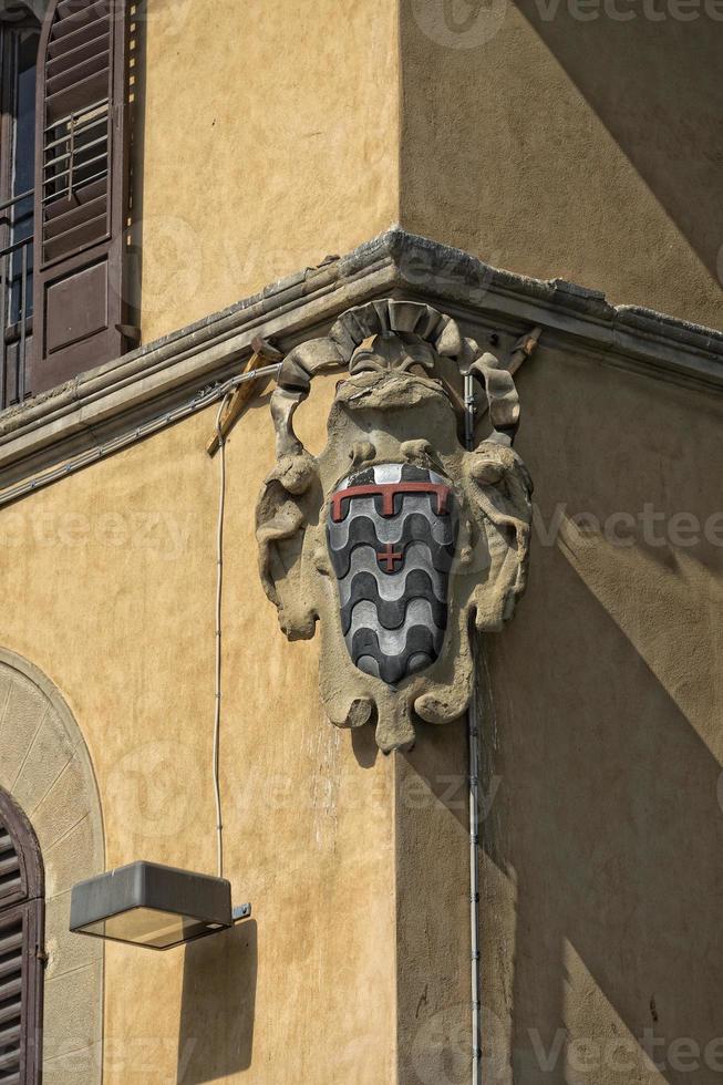 Palazzo Pitti in Florenz foto