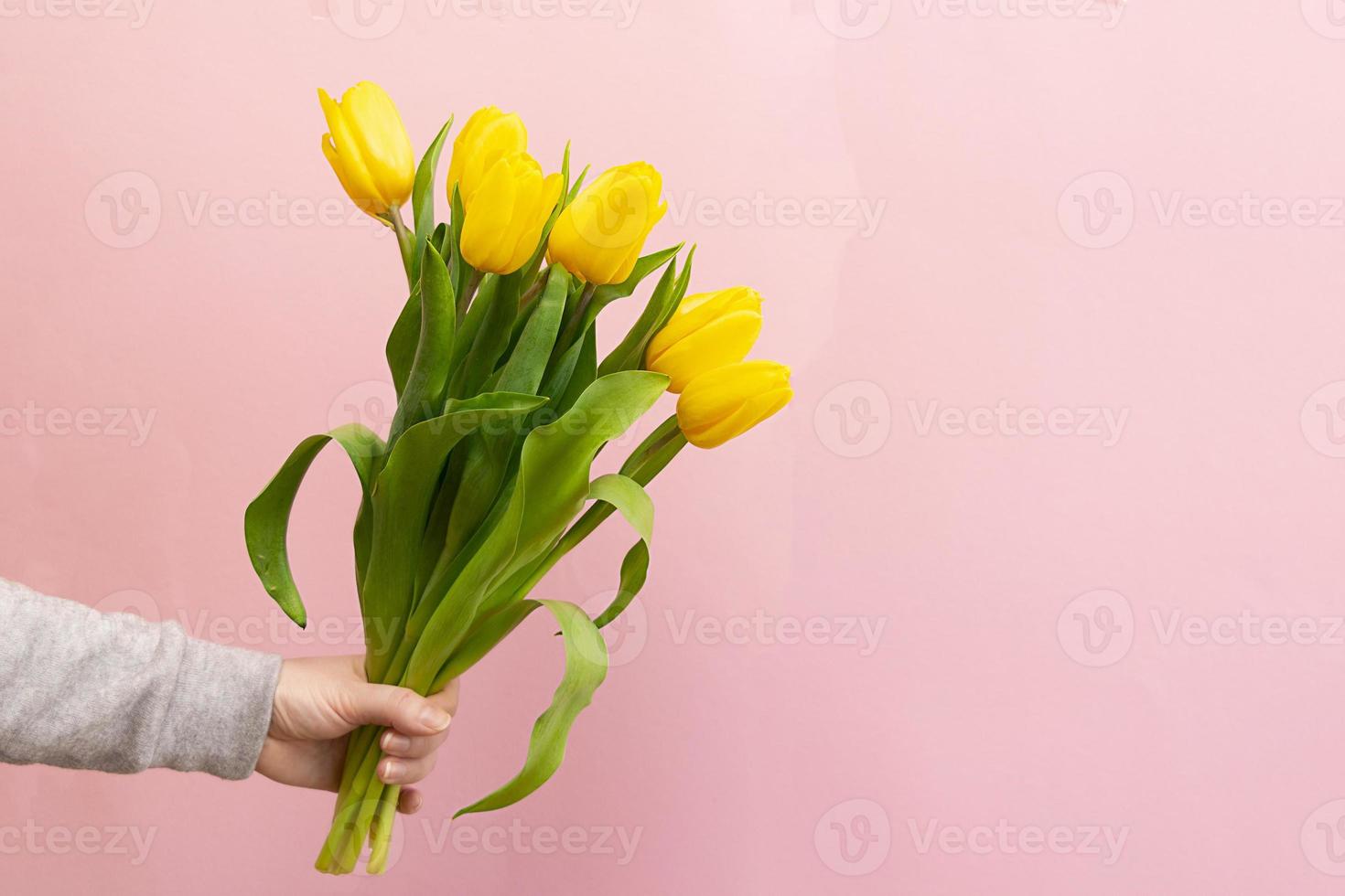 Frauenhand mit einem Strauß gelber Tulpen auf rosa Hintergrund foto