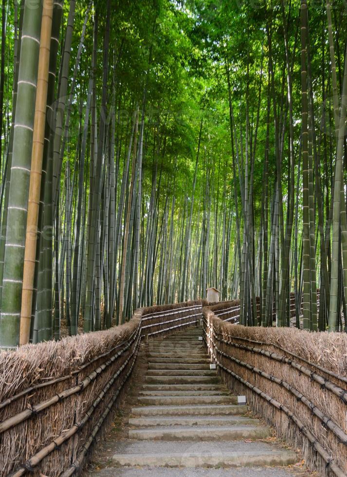 bambuswald in arashiyama, kyoto, japan foto