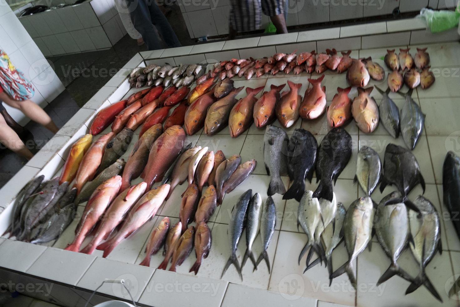 männliche malediven leute, die auf dem fischmarkt kaufen foto