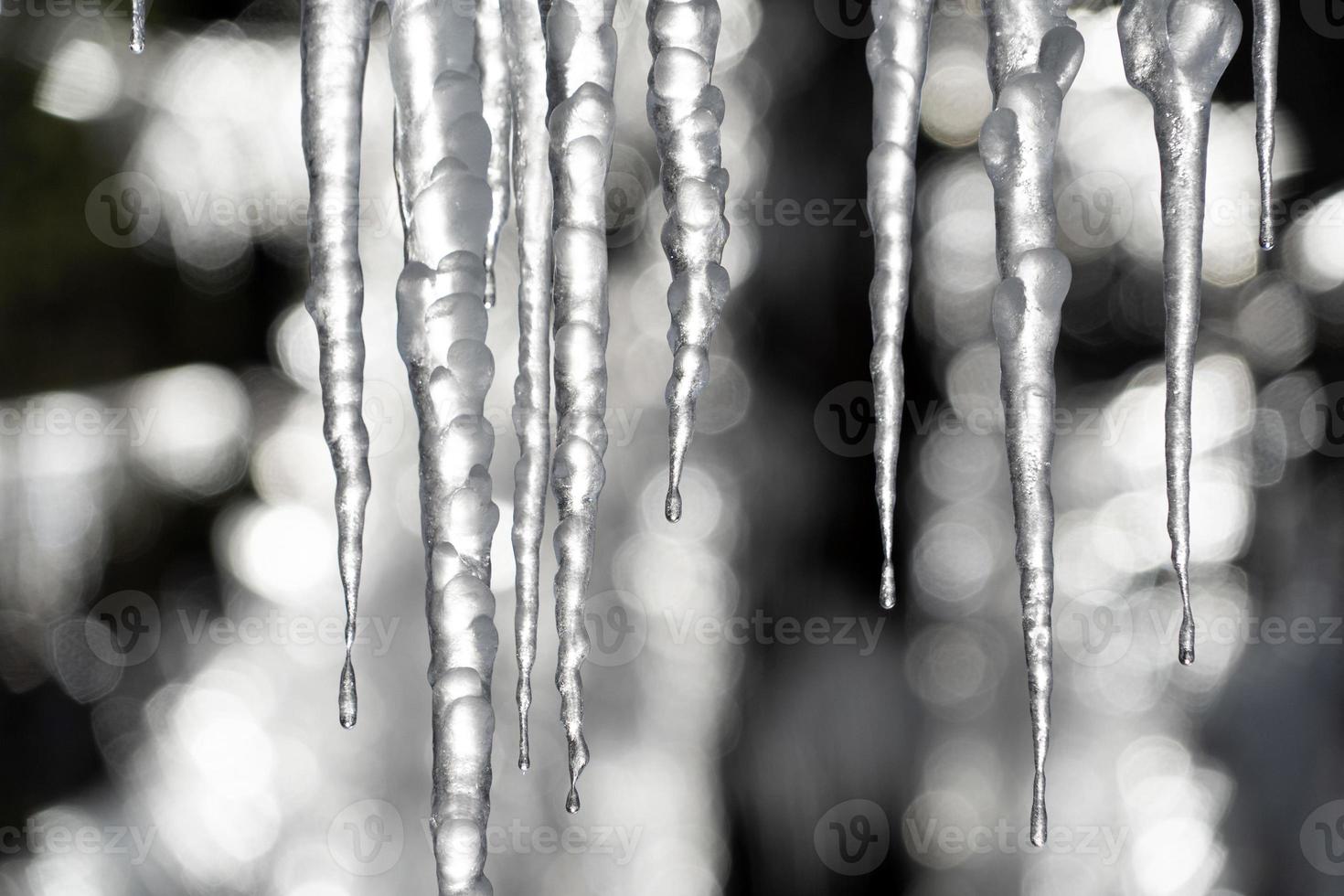 Eiszapfen gefrorenes Eis auf Ästen foto