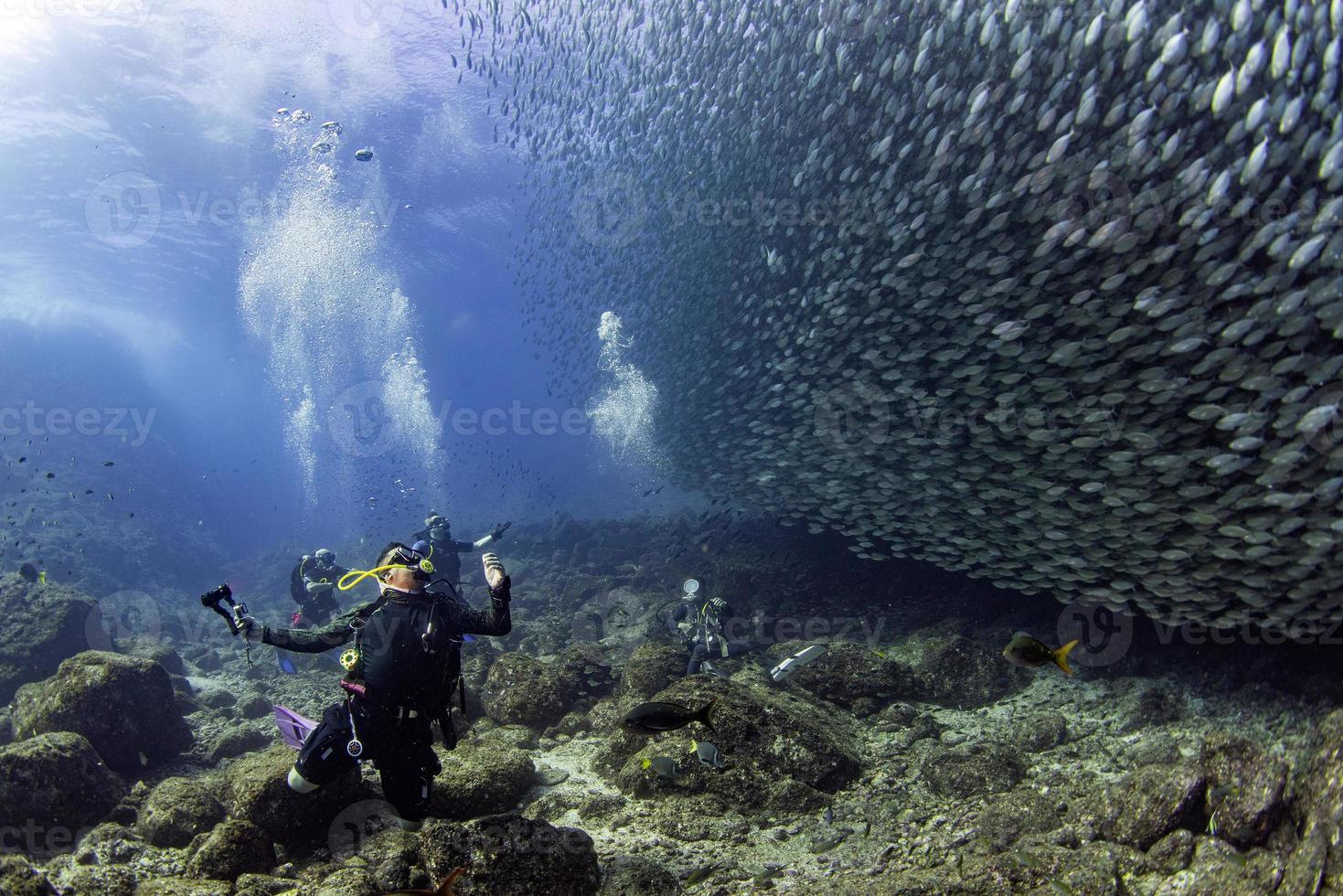 Scuba Diver Portrait beim Tauchen in einem Fischschwarm unter Wasser foto