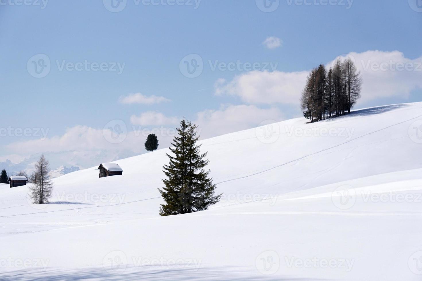 Holzhütte im Winterschneehintergrund foto