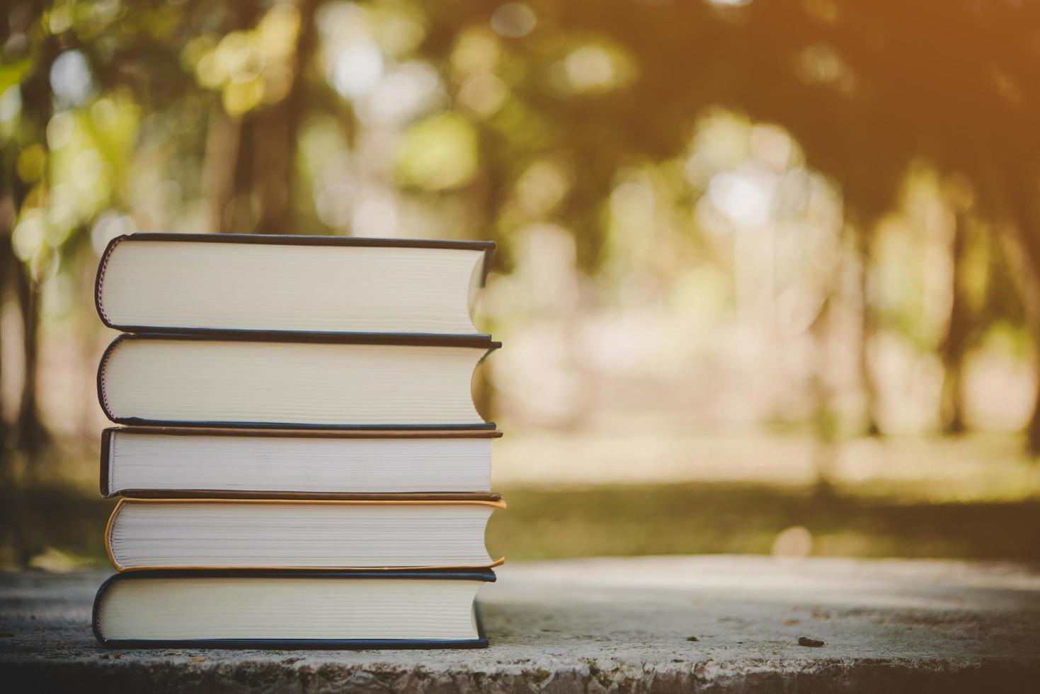 Stapel Bücher mit Weinleseton auf Naturhintergrund foto