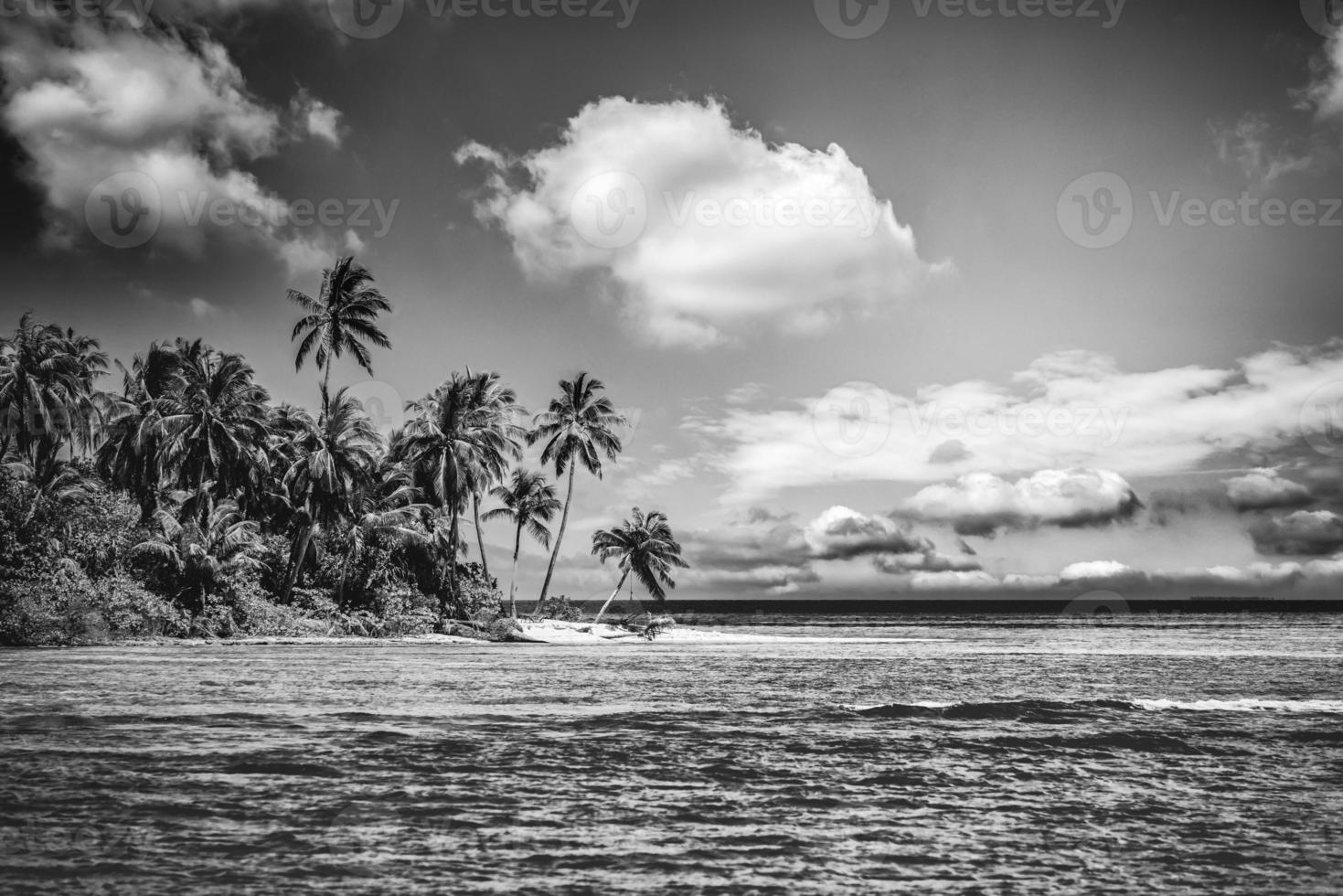 ruhige Strandlandschaft in Schwarz und Weiß. dramatische einfarbige Paradiesinsel inspirieren Meditationsreisehintergrund. palmen weiß sand dunkel himmel kunstvoll wellen entspannen küste. sommer minimal reisen foto